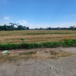 đất ngay gần sát phố cổ hội an, giá tốt, 2 mặt tiền, view đồng, thoáng mát.