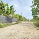 ea bhốk- cư kuin- đắk lắk dt 6000m2 thực tế 8000m2 sẵn 400m2 thổ cư tặng nhà cấp 4 ao cá nhỉnh 2ty