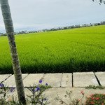 bán đất tại lê thánh tông, cẩm châu, hội an, quảng nam, 30 triệu / m2, 439 m2