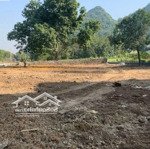 bán ngay siêu phẩm nghỉ dưỡng diện tích 1626m/200m đất ở tại cư yên - lương sơn-hoà bình