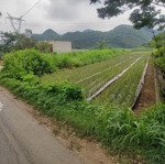 bán đất tại quốc lộ 45, 1,8 tỷ, 474,2 m2, giá ưu đãi đẹp, nhiều tiện ích, nho quan, ninh bình
