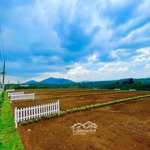 cần bán đất nền khu dân cư nghỉ dưỡng dili green hill giá chỉ từ 1,29 tỷ/nền