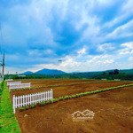 đầu tư đất nền di linh - lợi nhuận tăng trưởng mạnh khi hạ tầng và du lịch phát triển