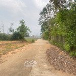 bán đất tại búng gội, 2,75 tỷ, 500m2, mặt tiền 14m, sổ hiện thị đường 8m