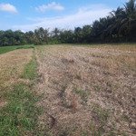 chính chủ bán đất ruộng sát đường đi lại, gần khu dân cư đông đúc