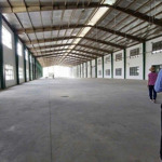 cho thuê kho, nhà xưởng, đất tại tỉnh lộ 15, củ chi, hcm, 180 triệu, 4100 m2