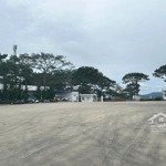 cần cho thuê - kho ở đồi dã chiến, p. 11, đà lạt. lh 0906694959