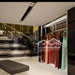 cho thuê mbkd mặt phố bạch đằng, p chương dương độ: diện tích 200m, mặt tiền 11m, mặt tiền mới đẹp
