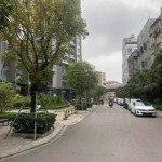 bán nhanh lô đất đấu giá đền lừ 2, cạnh louis city