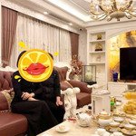 siêu phẩm biệt thự 7 tầng thang máy trung tâm thị trấn văn giang, mặt đường đan nhiễm!