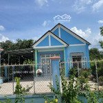 bán gấp nhà gần chợ an thái đường đh 507 phú giáo bình dương diện tích: 637m2
