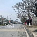 cần bán lô đất kđt cựu viên, quận kiến an, tp hải phòng. dt 100m2 ngang 5m hướng tây giá hợp lý