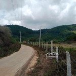 5 hecta 6 cách samten hills - lâm đồng chỉ 7km gần rừng thông có suối điện 3 pha riêng