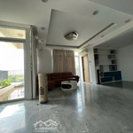 cho thuê căn hộ star hill tại tân phú, quận 7, hcm, 45 triệu, 265m2, đẹp, nhiều tiện ích chỉ với