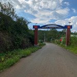bán đất nền tại đam bri, bảo lộc, lâm đồng, 1,65 tỷ, 264m2 view đẹp