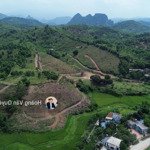 chính chủ bán 7,2ha đất tại hòa hợp lương sơn hòa bình giá 520k/m2 đã có sổ đất ở. lh 0962202555