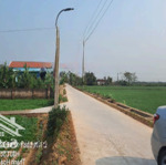 bán đất tại đa lộc, hậu lộc, thanh hóa, giá thỏa thuận, 440 m2, mặt tiền 8m