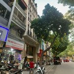 bán nhà 5 tầng 33m² lê hồng phong, ba đình, hàng xóm lăng bác, phân lô, chỉ 11 tỷ, tl