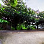 bán đất tại xuân thới đông, hóc môn, hồ chí minh, 19 triệu / m2, 1340 m2, giá tốt hot!