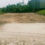 bán đất 228m2 tại liên ấp 2-6, bình chánh, giá cực chất 584 triệu. sổ hồng riêng, full thổ cư