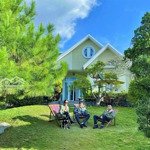 bán villa sân vườn 580m2 phường 8 đà lạt 31,4 tỷ hẻm ô tô gần trường đại học đà lạt