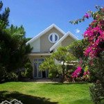 bán villa biệt thự 580m2 phường 8, đà lạt 31,4 tỷ hẻm đường vạn hạnh - khu nhiều villa biệt thự