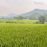 siêu phẩm view cánh đồng tại kim bôi, hoà bình