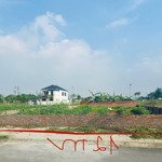 bán đất nền tại khu biệt thự tự lập, 312m2, lâm thao, phú thọ , giá 13,5tr/m2