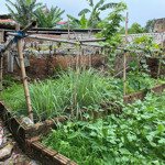 bán đất 41m lệ chi gia lâm ngõ nông, gần đường oto tránh giá chỉ 2 tỷ 1
