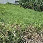 lô đất 251m2 phù hợp xây nhà vườn 610tr. tại mtđ thích thiện hoà ,lê minh xuân, bình chánh.