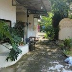 bán đất giá siêu rẻ tiện làm khu nghĩ dưỡng tại bình mỹ, củ chi. lh: 0377 442 194