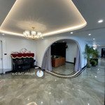 bán nhà mạc đĩnh chi, ba đình 100m2, mt6m, lô góc, kd sầm uất, chỉ hơn 54 tỷ.