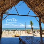 bán đất tại đường ven biển, xã bình châu, xuyên mộc, bà rịa vũng tàu, giá tốt 9 tỷ, 808m2