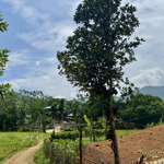 chủ cần tiền bán gấp 734m2 đất view cánh đồng tại quang tiến, cách big c thăng long 50km