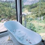 cần tiền bán gấp căn homestay view đẹp đường hoàng hoa thám, đà lạt, 15 tỷ