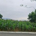 quá rẻ! tài chính 3 tỷ có gần 1.400m2 đất, 20m mặt đường nhựa minh hồng, minh quang, ba vì, hà nội