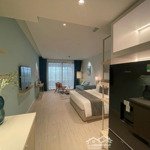 dự kiến chỉ từ 2 tỷ sở hữu căn studio cao cấp xanh island sinh lời ổn định, pháp lý rõ ràng