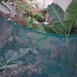 bán đất biên nhận riêng diện tích 100m2