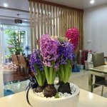 bán nhà biệt thự mini đường đặng văn ngữ, khu an ninh cao, hẻm rộng. nhà đẹp đậu được ôtô trong nhà