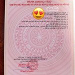 bán lô đất giá rẻ trung tâm. mặt tiền đường chính khu quy hoạch vip của tp. đà lạt
