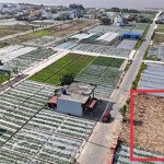 bán đất chính chủ view biển quất lâm giá chỉ 1ty450, dt:270m 2 thửa và mảnh 90m², đường trục chính
