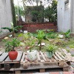 bán đất tại cao lỗ, đông anh, chỉ 3,98 tỷ, đã có 63,8m2, mặt tiền 5,9m, pháp lý đầy đủ, sẵn sàng gd