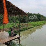 bán đất tại xã tân hưng, đồng phú, bình phước, giá ưu đãi 135 triệu, 1000.3m2 hot!