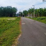 đất trung tâm thị trấn tân khai 330tr sát khu cn minh hưng