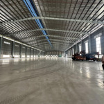 cho thuê xưởng 20.000m2 bình chánh - pccc tự động - cont 24/24