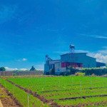 đất gần sân bay quốc tế liên khương| ven đà lạt|giá đầu tư| giá rẻ| đức trọng