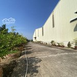cho thuê kho, nhà xưởng 10.000m2 tại mỹ quý, long xuyên, an giang, giá thỏa thuận