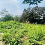 bán gấp 8500m thổ cư 400m có sẵn khuôn viên bám mặt đường to tại hoà sơn lương sơn hoà bình