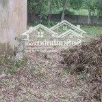 bán đất tại xã thanh cao, lương sơn, hòa bình, 7,852 tỷ, 2617.4 m2 chỉ với giá tốt