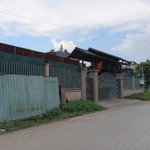 xưởng mặt tiền - dt: 1920m2 - đường container - 500m ra lê văn khương - giao thông thuận tiện